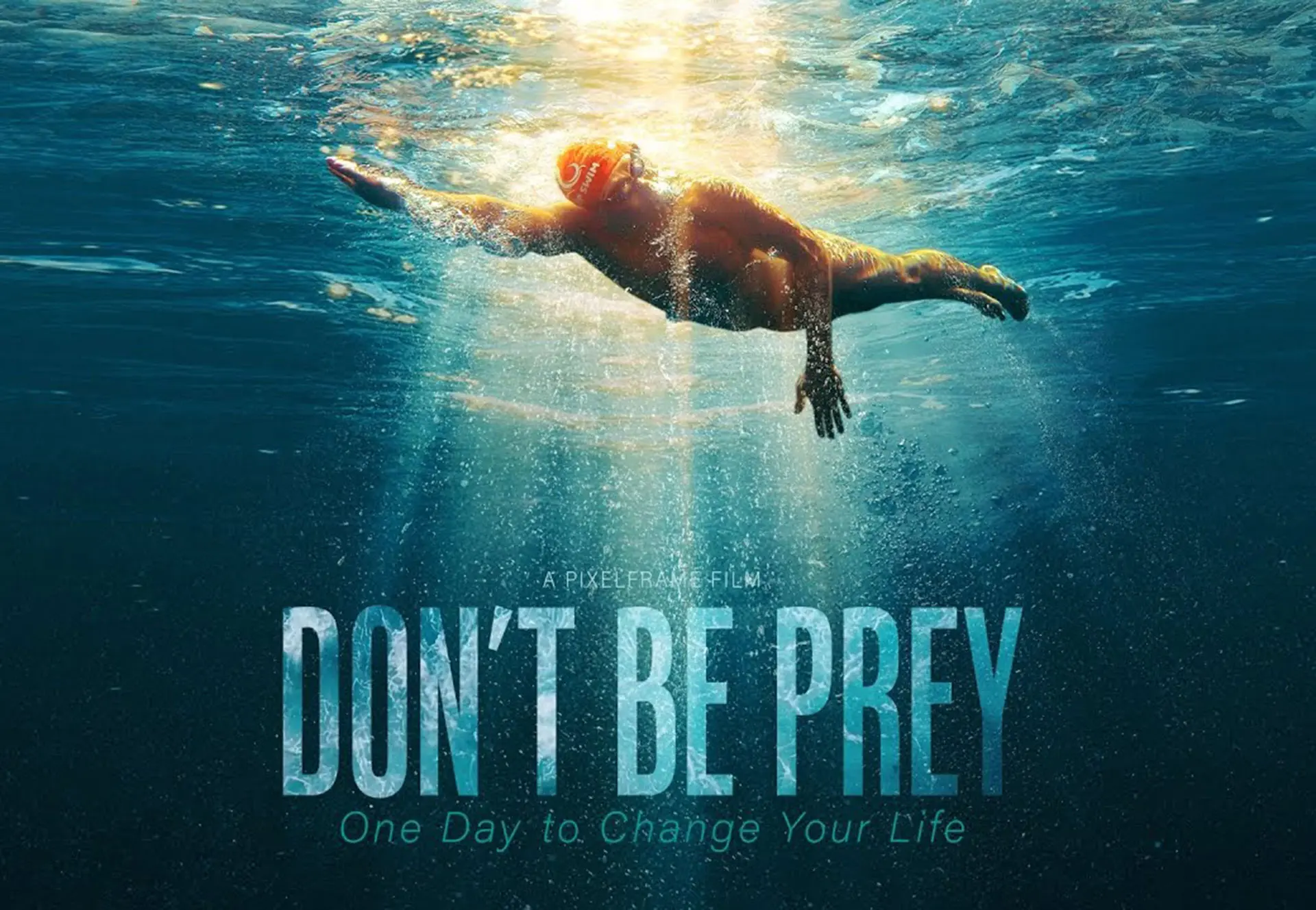 Don’t be Prey